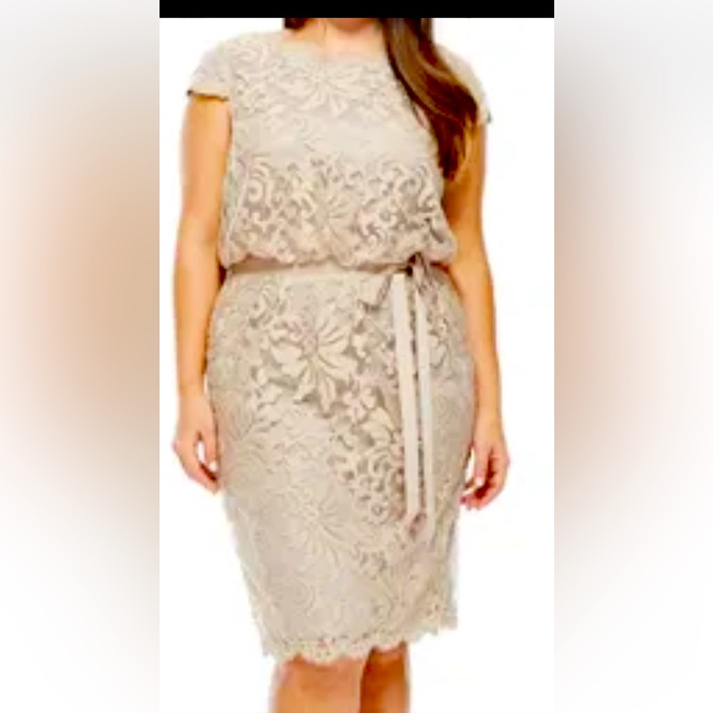 Tadashi beautiful very elegant, sliming dress for any occasion New with tag sz12